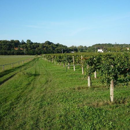 Agriturismo Lupo Bianco Monzambano Exteriör bild