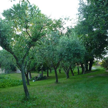 Agriturismo Lupo Bianco Monzambano Exteriör bild