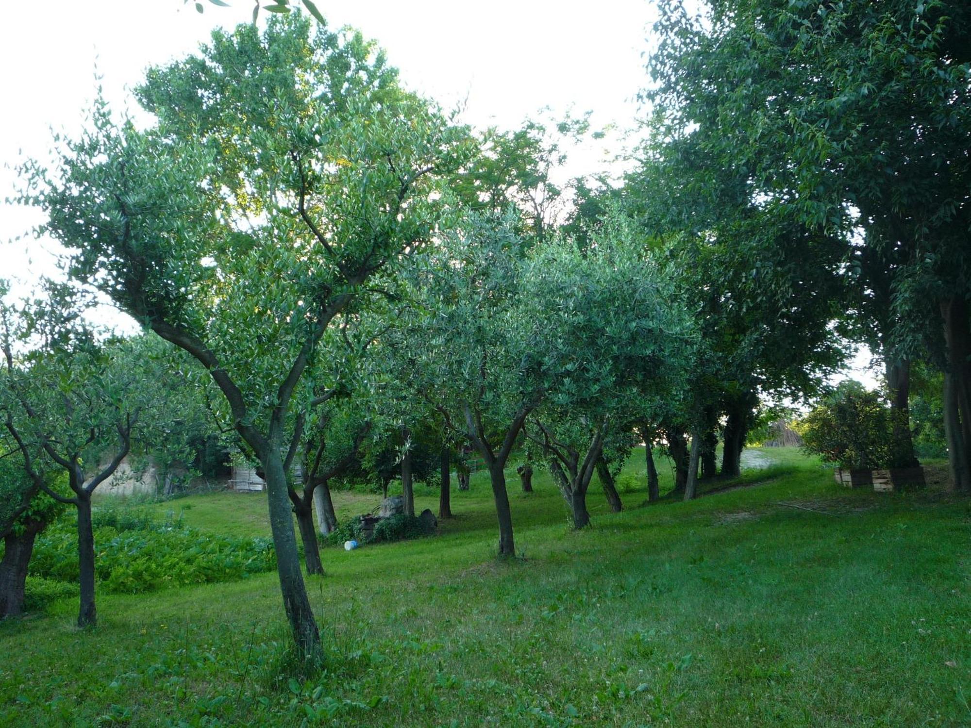 Agriturismo Lupo Bianco Monzambano Exteriör bild